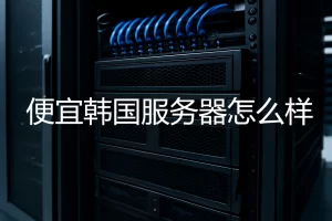 数据中心中一排连接整齐、带蓝色网线的服务器机柜