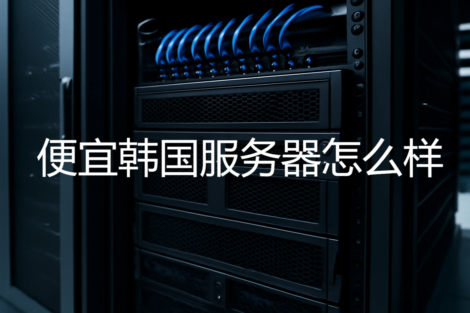 数据中心中一排连接整齐、带蓝色网线的服务器机柜